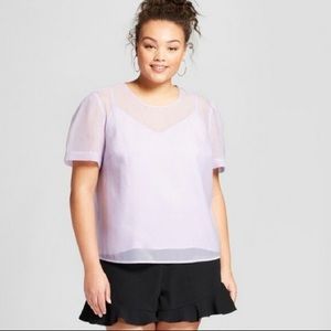 Sheer Lavender Chiffon 🌸🌸